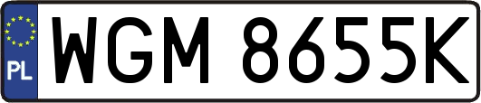 WGM8655K