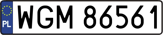 WGM86561