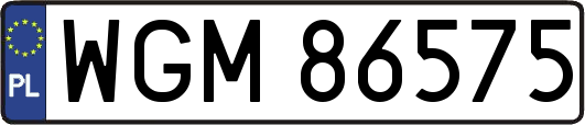WGM86575