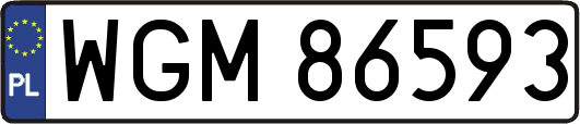 WGM86593