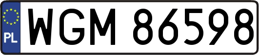 WGM86598