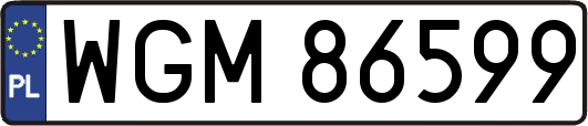 WGM86599