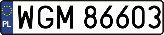 WGM86603