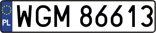 WGM86613