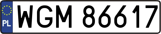 WGM86617