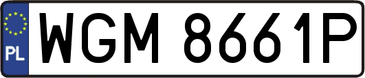 WGM8661P