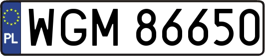 WGM86650