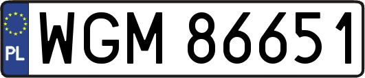 WGM86651