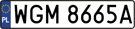 WGM8665A