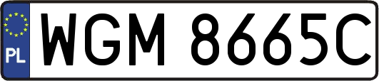WGM8665C