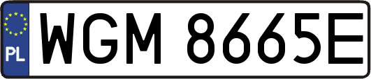 WGM8665E