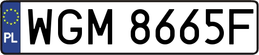WGM8665F