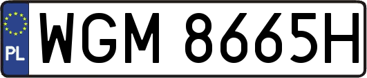 WGM8665H
