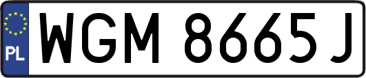 WGM8665J