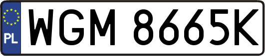 WGM8665K