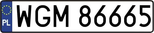 WGM86665