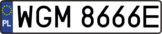WGM8666E