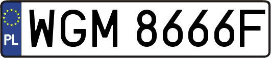 WGM8666F