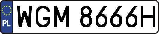WGM8666H