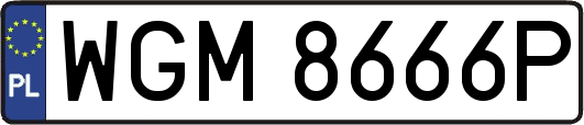 WGM8666P