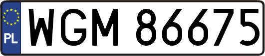 WGM86675