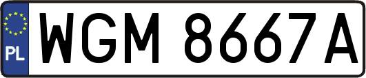 WGM8667A