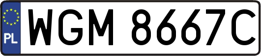 WGM8667C