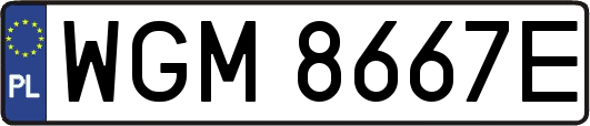 WGM8667E