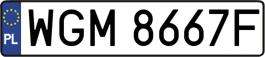 WGM8667F