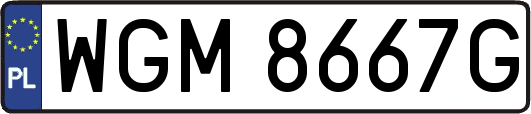 WGM8667G