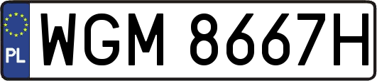 WGM8667H