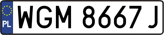 WGM8667J