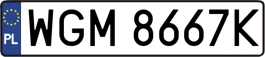 WGM8667K