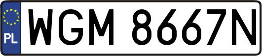 WGM8667N
