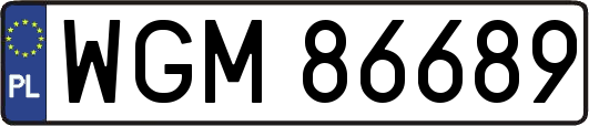 WGM86689