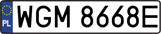 WGM8668E