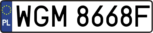 WGM8668F