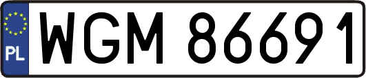 WGM86691