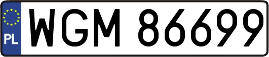 WGM86699