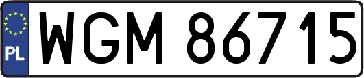 WGM86715