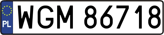 WGM86718