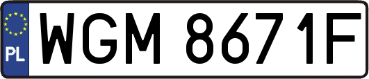 WGM8671F