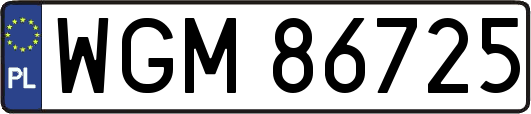 WGM86725