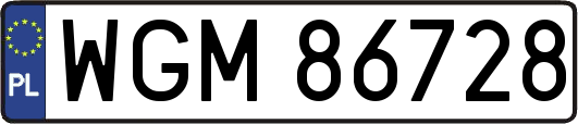 WGM86728