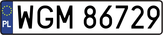 WGM86729