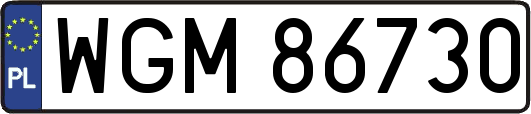 WGM86730