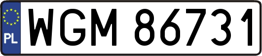 WGM86731
