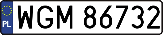 WGM86732
