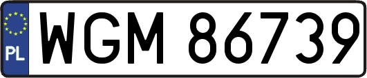 WGM86739
