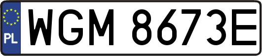 WGM8673E